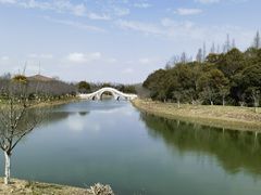-上海海湾国家森林公园