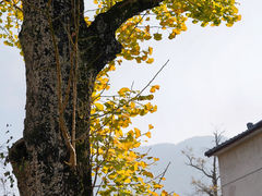 -长兴八都岕景区