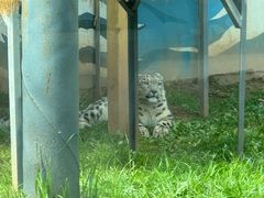 -青藏高原野生动物园