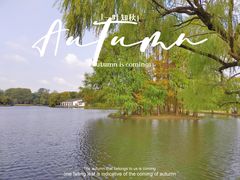 -上海共青森林公园