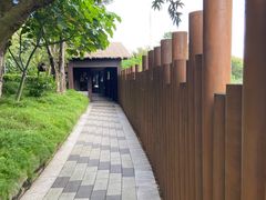 -福田红树林生态公园