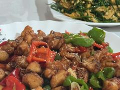 -煲来饱去冷水鱼