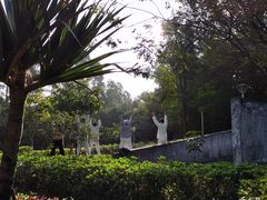 -三水森林公园