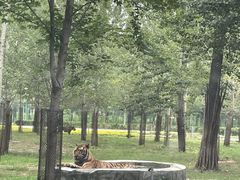 -秦皇岛野生动物园