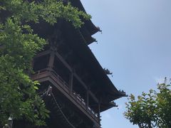 -杭州半山国家森林公园