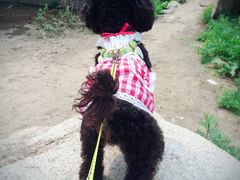 -碓臼峪自然风景区