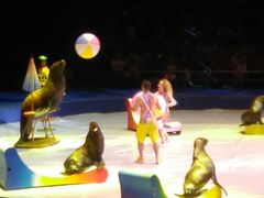 -珠海横琴长隆《卡卡虎奇遇记》