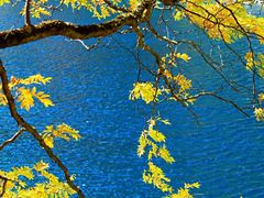 -叠溪松坪沟景区