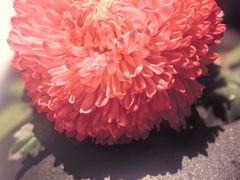 -晓长安·新陕菜(曲江店)