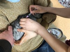 -宠颐生中康贝怡动物医院