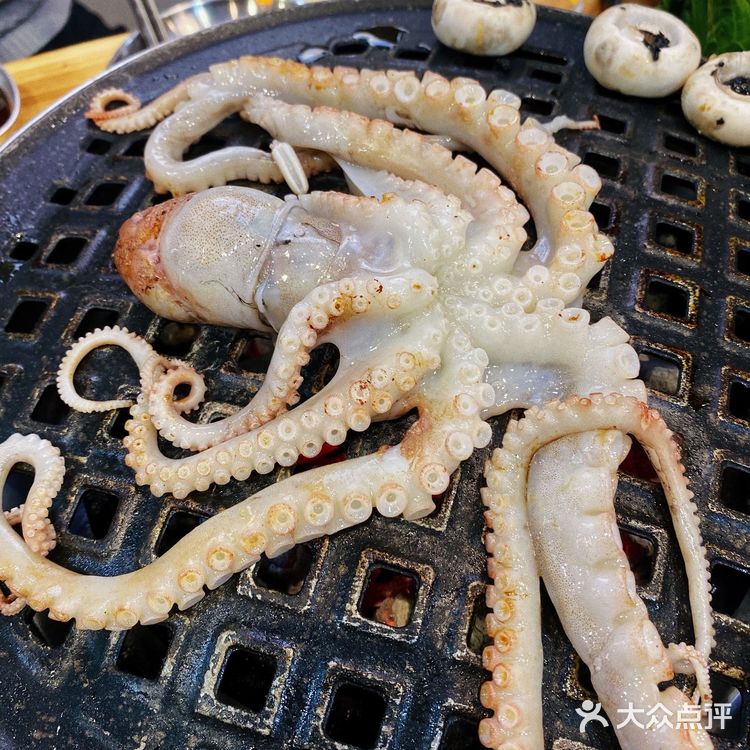 新店!好便宜!活章鱼➕1米横膈膜,性价比绝了!