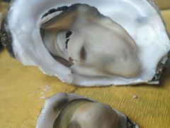 -蚝专家(北滘店)