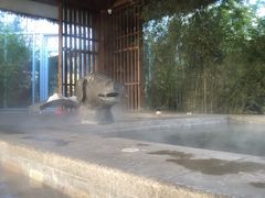 -中家鑫园温泉酒店鑫悦汤泉