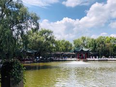 -MAP CHA普洱茶馆(翠湖店)