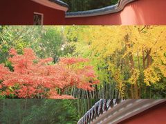 -望江楼公园