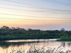 -昆山城市生态森林公园