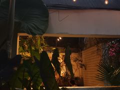-自由生长植物工作室(深港花卉中心店)