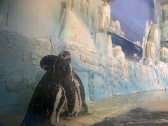 -常州海昌海洋探索馆