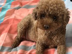 -家舍沐浴生活馆