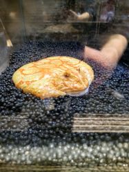 -Zoolung Zoolung动物主题公园(海信广场店)