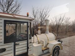 -泗洪洪泽湖湿地景区