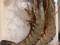 -海玥荟海鲜姿造自助餐厅(欧罗巴广场店)