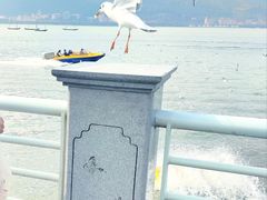 -海埂大坝