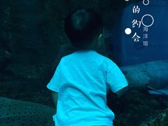-乐从天佑城海洋馆