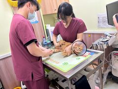 -瑞鹏宠物医院·宠保定点·心脏科·内科(御桥分院)