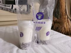 -一只酸奶牛(八一路店)