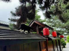 -大连步云山老汤度假山庄