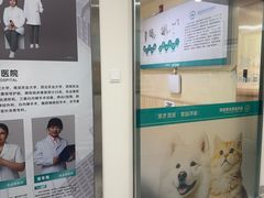 -谐和益家动物医院·免疫绝育·血液透析·宠保定点医院(高新伊藤分院)