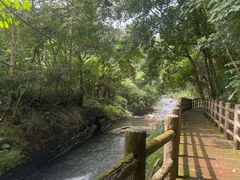 -广州市石门国家森林公园