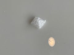 -我的四季意大利餐厅(春天百货店)