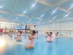 -西安小天鹅艺术团(曲江Alice店)