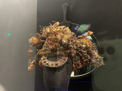 -贵州省博物馆(新馆)