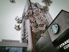 -玛格萝妮比萨屋(四平店)