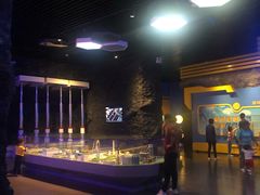 -陕西自然博物馆