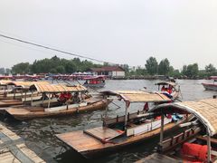 -白洋淀景区