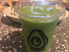 -油梨树AVOCADO TREE(嘉里中心店)