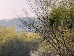 -南山风景名胜区