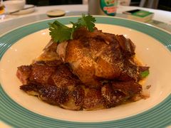 椿记烧鹅-椿记烧鹅(叠彩店)