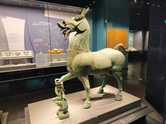 -广西壮族自治区博物馆