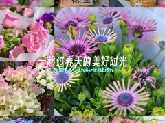 -金陵花卉交易市场