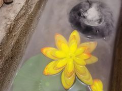 -云来居素食馆(南山店)