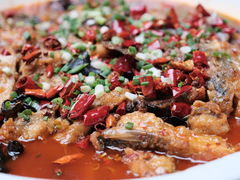 -龙翔山庄雷鸡肉(青城后山泰安古镇店)