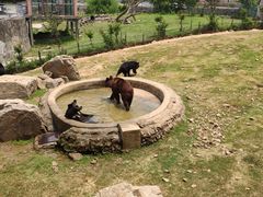 -无锡动物园·太湖欢乐园