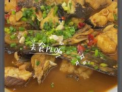 -全乐鱼馆·淳牌有机鱼直营店