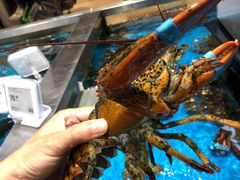 -盒马鲜生(领丰汇店)