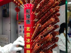 -和禄德冰糖葫芦